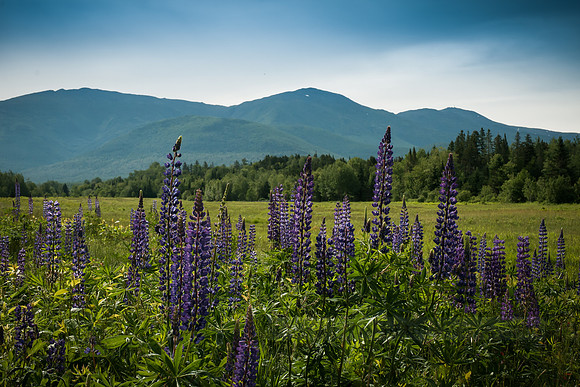 The Presidential Range