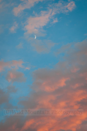 Day Moon