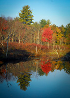 Reflections