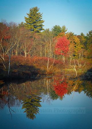 Reflections