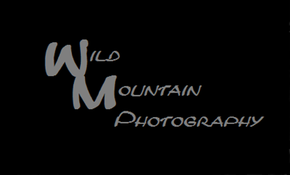 Wild Mountain Photography